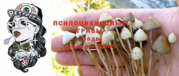 МДПВ Баксан