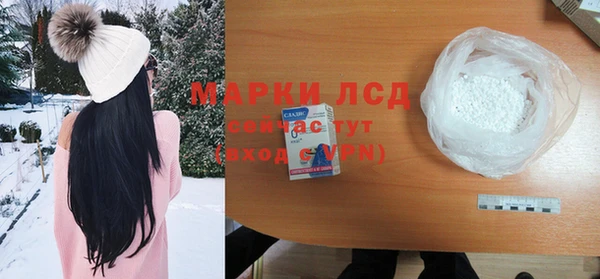 ПСИЛОЦИБИНОВЫЕ ГРИБЫ Беломорск