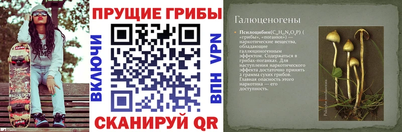 купить наркотик  Белореченск  Галлюциногенные грибы мицелий 